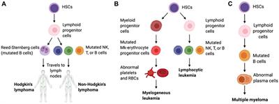 The clinical regimens and cell membrane camouflaged nanodrug delivery systems in hematologic malignancies treatment